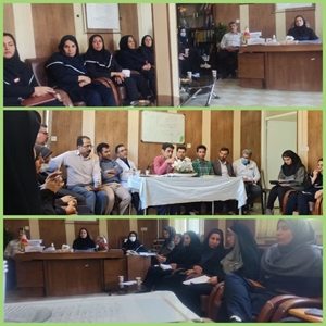 کمیته بحران